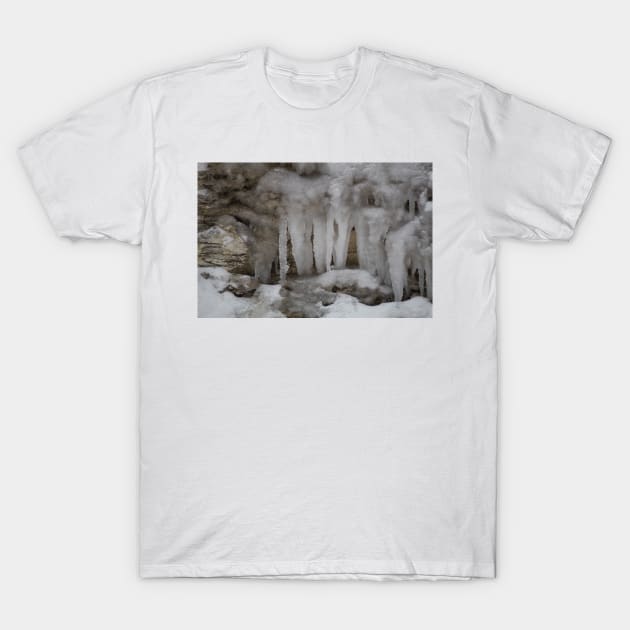 Ice Stalactites T-Shirt by Jacquelie